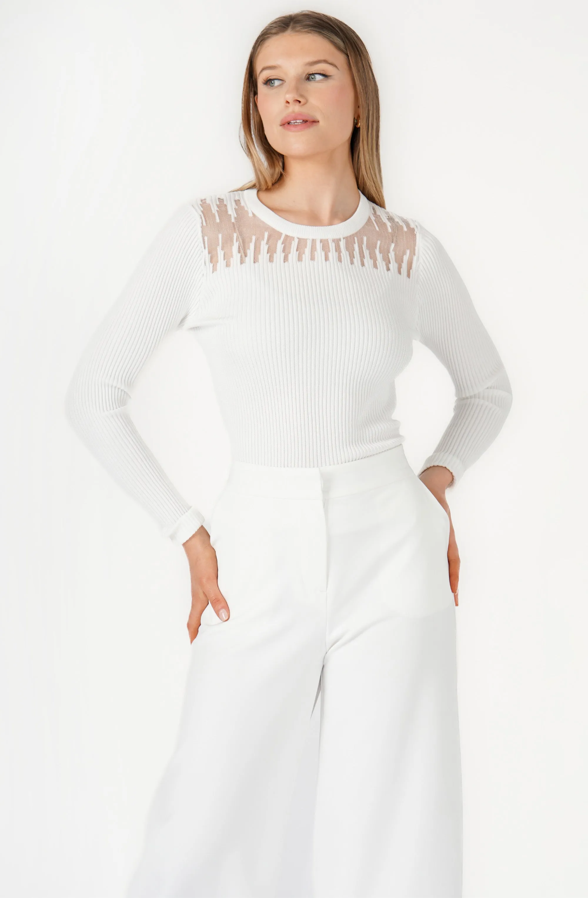 Long Sleeves Ribbed Knit with Sheer Neckline Top