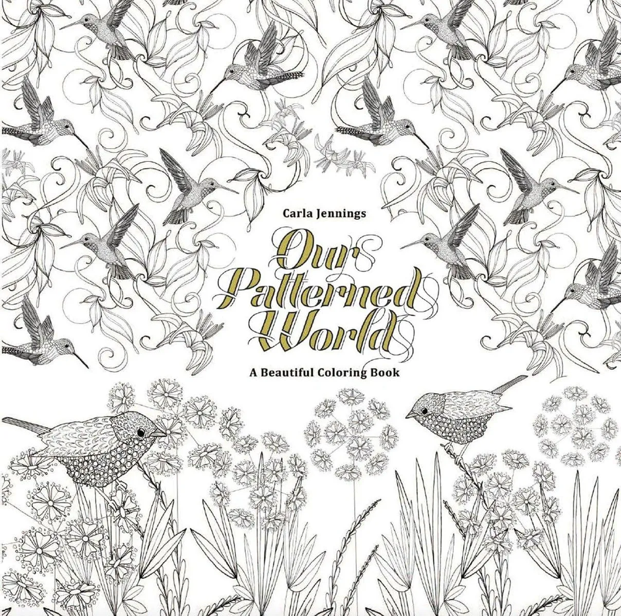 Our Patterned World: A Beautiful Coloring Book