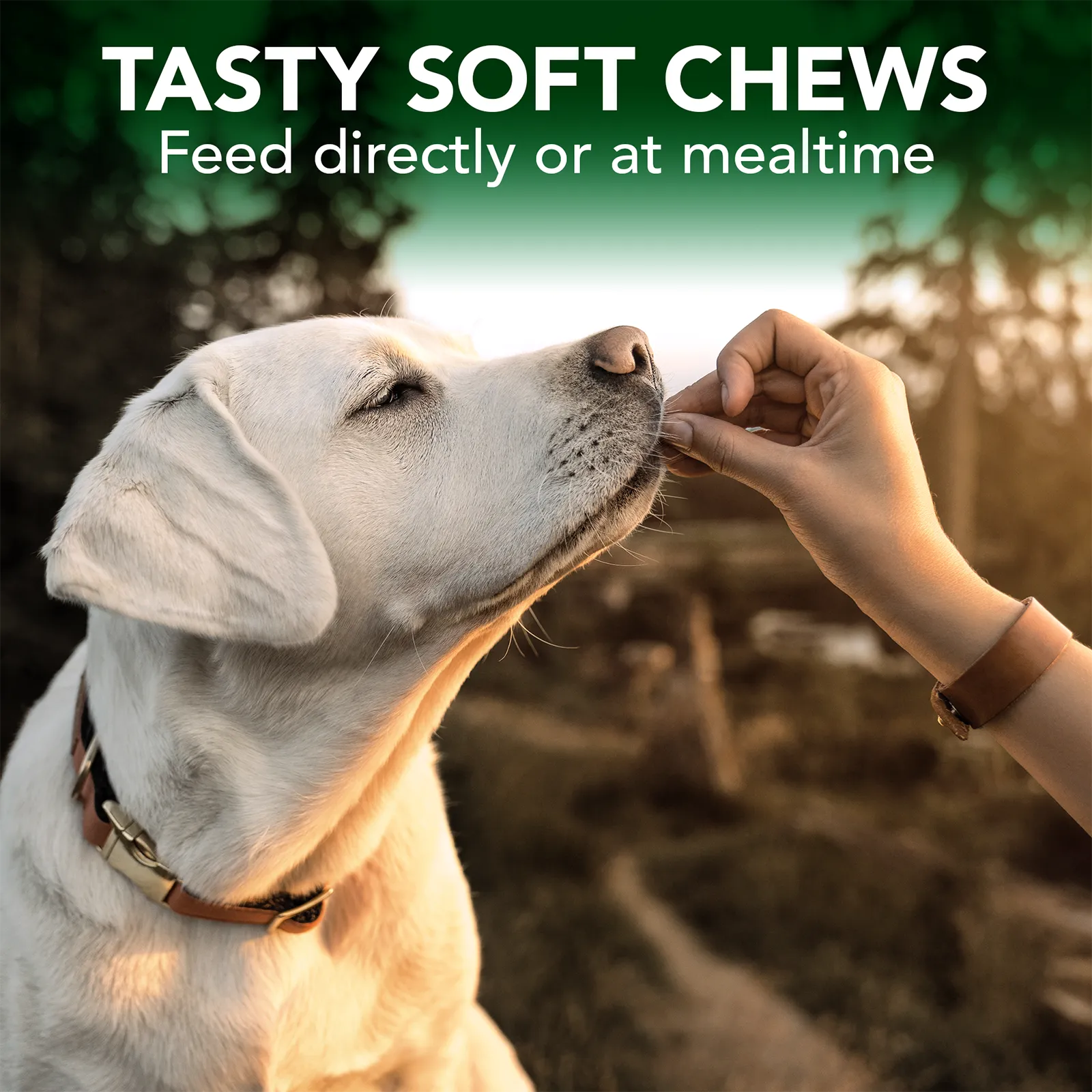 Vet's Best Seasonal Allergy Soft Chews 30ct